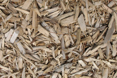biomass boilers Ardleigh